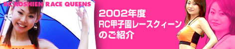 2002Nx RCbq[XNB[̂Љ